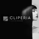 Фото компанії Крамниця волосся "Cliperia"