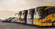 Фото компанії Andreolli bus