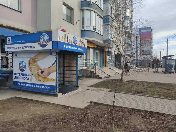 Фото компанії Ветеринарна клініка "Айболит"