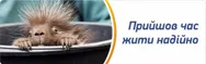 Фото компанії Західна дирекція ПрАТ "Українська пожежно-страхова компанія"