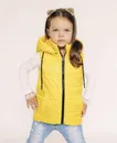 Фото компанії Rycollection.ua