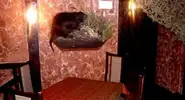 Фото компанії Хантер