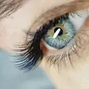 Фото компанії Olia.lashmaker_vin
