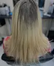 Фото компанії Колорист