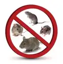 Фото компанії Pest Control West