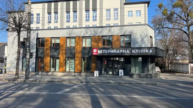 Фото компанії Ветеринарна клініка "Xvet"