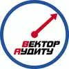 Логотип компанії Аудиторська компанія "Вектор аудиту"