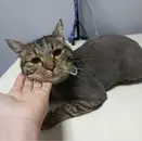 Фото компанії Time for pets
