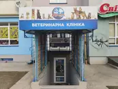Фото компанії Ветеринарна клініка "Айболит"