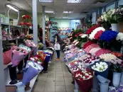 Фото компанії ТзОВ "Квіткова перлина"