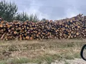 Фото компанії Дрова паливні