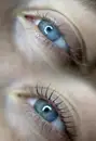 Фото компанії Katya.llashes