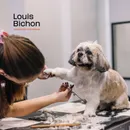 Фото компанії Louis.bichon.lviv