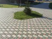 Фото компанії Star Bud