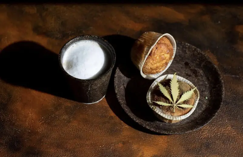 Фото компанії HEMP HEAVEN "Львівські коноплі"