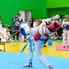 Фото компанії Vesta Taekwondo Team