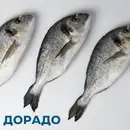 Фото компанії NORD-OST Delicates