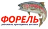 Логотип компанії Форель, риболовля Яремче