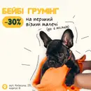 Фото компанії Грумінг-салон "Mery"