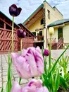 Фото компанії Ресторан "Клепсидра"