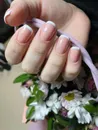 Фото компанії Студія манікюру та педикюру "Sun School"