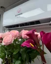 Фото компанії Diamond Rose