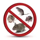Фото компанії Pest Control West