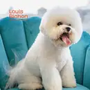 Фото компанії Louis.bichon.lviv