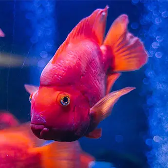 Фото компанії OCEANARIUM LVIV