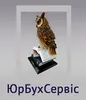 Логотип компанії ПП "ЮрБухСервіс"