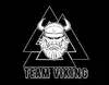 Логотип компанії Спортивний клуб "Viking_team"