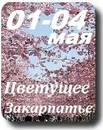 Фото компанії Туроператор "Галіція-Тур"