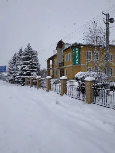 Фото компанії Кауфман