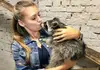Логотип компанії Wild and Mimimi