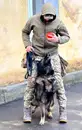 Фото компанії Послуги Кінолога