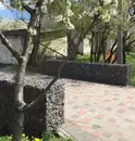 Фото компанії Гриф