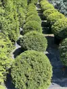 Фото компанії Світ рослин