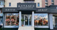 Фото компанії Каталея