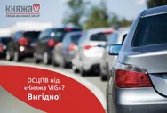 Фото компанії Страхова компанія "Княжа Вієнна Іншуранс Груп"