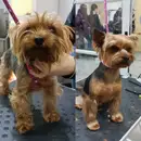 Фото компанії Time for pets