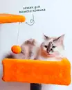 Фото компанії Грумінг-салон "Mery"