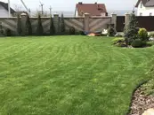 Фото компанії Садовий Boss