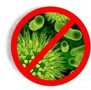 Фото компанії Pest Control West