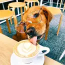 Фото компанії Wake Up coffee