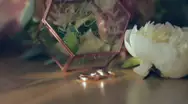 Фото компанії TOKAR VIDEOGRAPHY