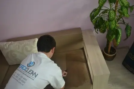 Фото компанії Професійна хімчистка "EuroClean"