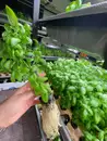 Фото компанії Neogreen