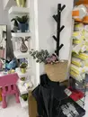 Фото компанії IKEAS FAMILY