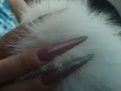 Фото компанії Zaits_nails