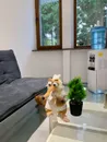 Фото компанії Dental Euro